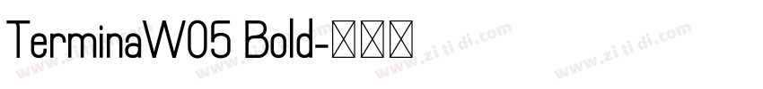 TerminaW05 Bold字体转换